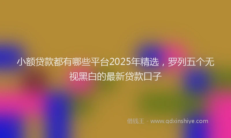 小额贷款都有哪些平台2025年精选，罗列五个无视黑白的最新贷款口子