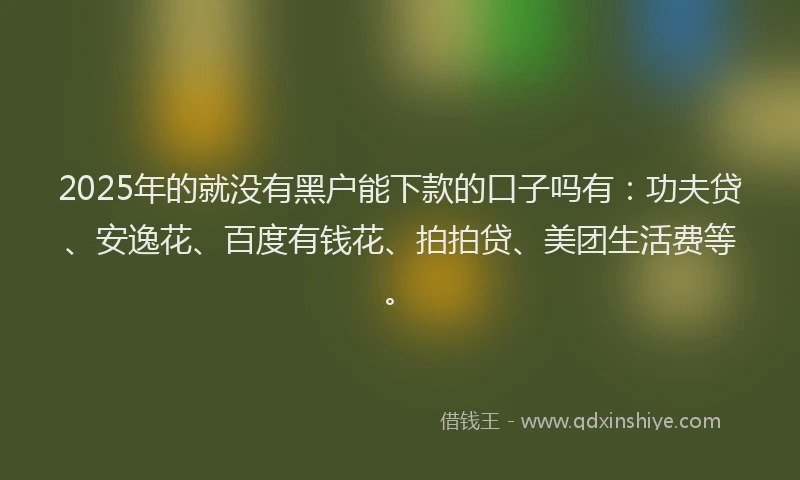 2025年的就没有黑户能下款的口子吗有：功夫贷、安逸花、百度有钱花、拍拍贷、美团生活费等。