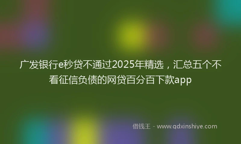 广发银行e秒贷不通过2025年精选，汇总五个不看征信负债的网贷百分百下款app