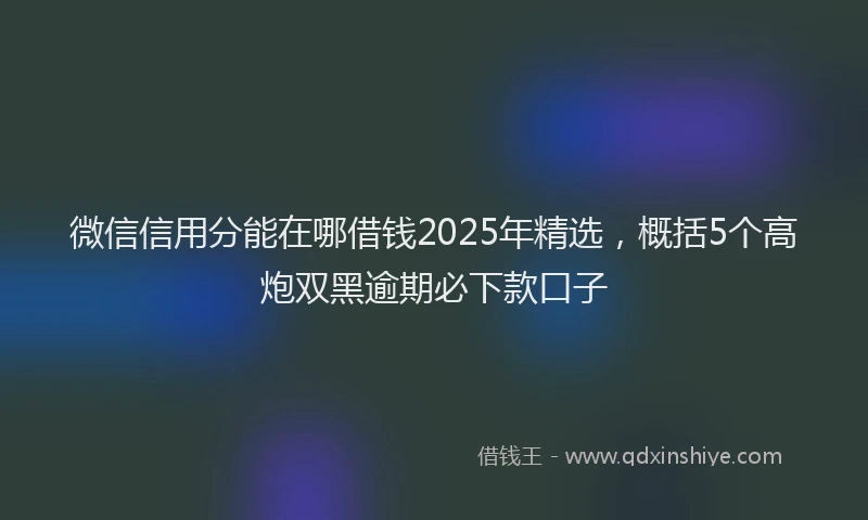 微信信用分能在哪借钱2025年精选，概括5个高炮双黑逾期必下款口子