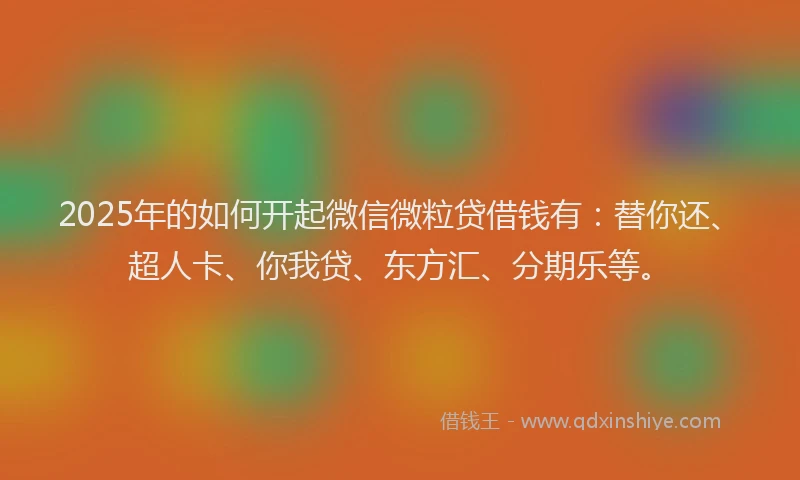 2025年的如何开起微信微粒贷借钱有：替你还、超人卡、你我贷、东方汇、分期乐等。