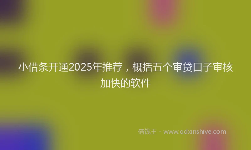 小借条开通2025年推荐，概括五个审贷口子审核加快的软件