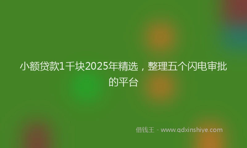 小额贷款1千块2025年精选，整理五个闪电审批的平台