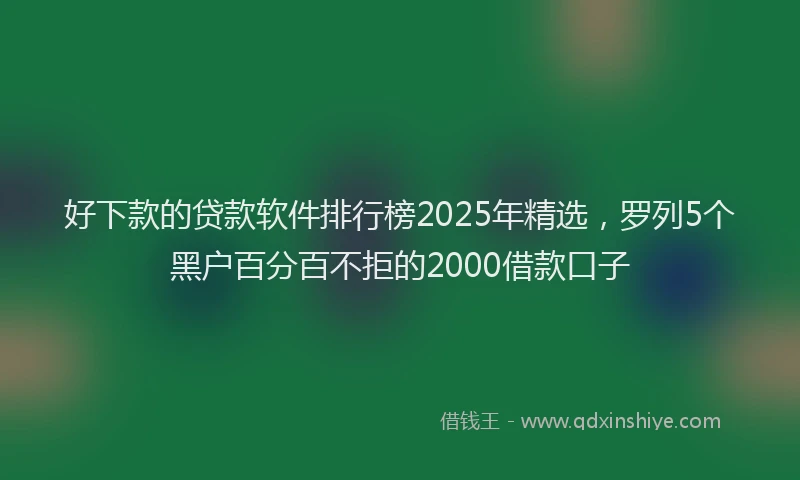 好下款的贷款软件排行榜2025年精选，罗列5个黑户百分百不拒的2000借款口子