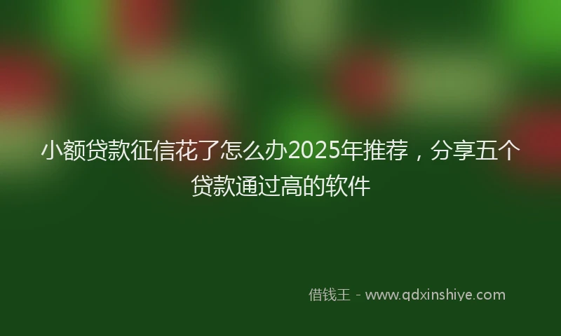 小额贷款征信花了怎么办2025年推荐，分享五个贷款通过高的软件