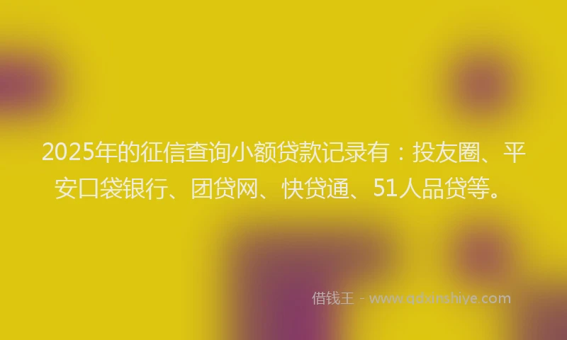 2025年的征信查询小额贷款记录有：投友圈、平安口袋银行、团贷网、快贷通、51人品贷等。