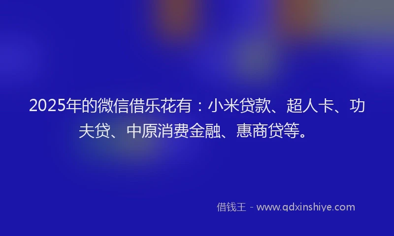 2025年的微信借乐花有：小米贷款、超人卡、功夫贷、中原消费金融、惠商贷等。