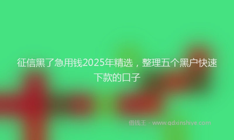 征信黑了急用钱2025年精选，整理五个黑户快速下款的口子
