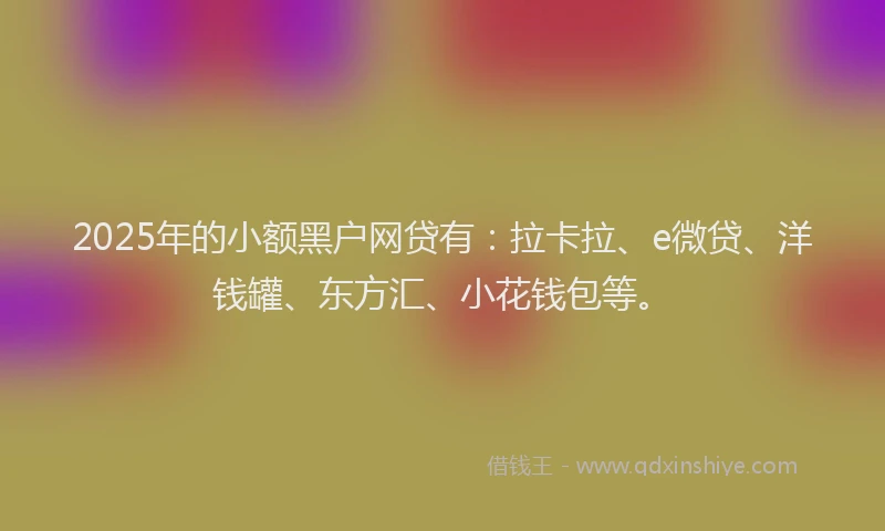 2025年的小额黑户网贷有：拉卡拉、e微贷、洋钱罐、东方汇、小花钱包等。