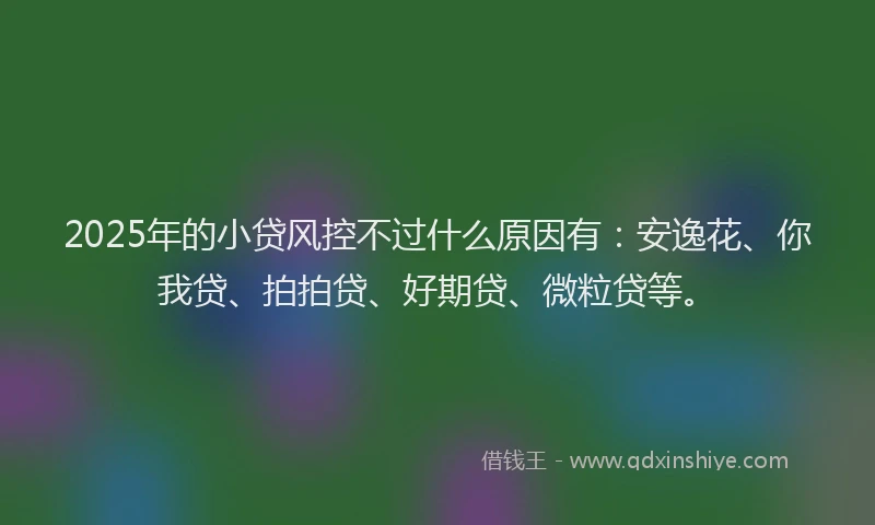 2025年的小贷风控不过什么原因有：安逸花、你我贷、拍拍贷、好期贷、微粒贷等。