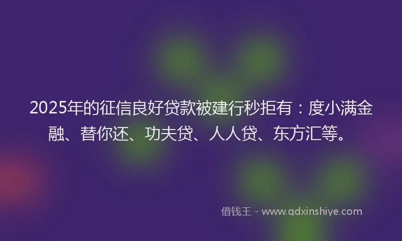 2025年的征信良好贷款被建行秒拒有：度小满金融、替你还、功夫贷、人人贷、东方汇等。