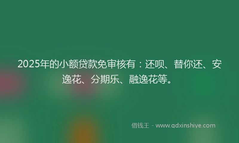 2025年的小额贷款免审核有：还呗、替你还、安逸花、分期乐、融逸花等。
