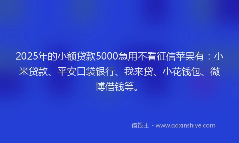 2025年的小额贷款5000急用不看征信苹果有：小米贷款、平安口袋银行、我来贷、小花钱包、微博借钱等。