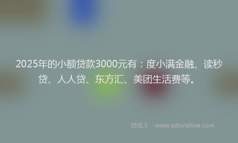 2025年的小额贷款3000元有：度小满金融、读秒贷、人人贷、东方汇、美团生活费等。