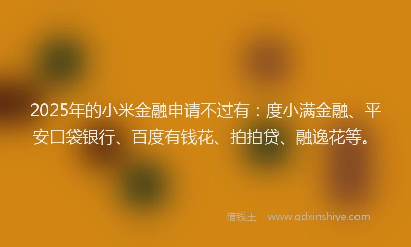 2025年的小米金融申请不过有：度小满金融、平安口袋银行、百度有钱花、拍拍贷、融逸花等。