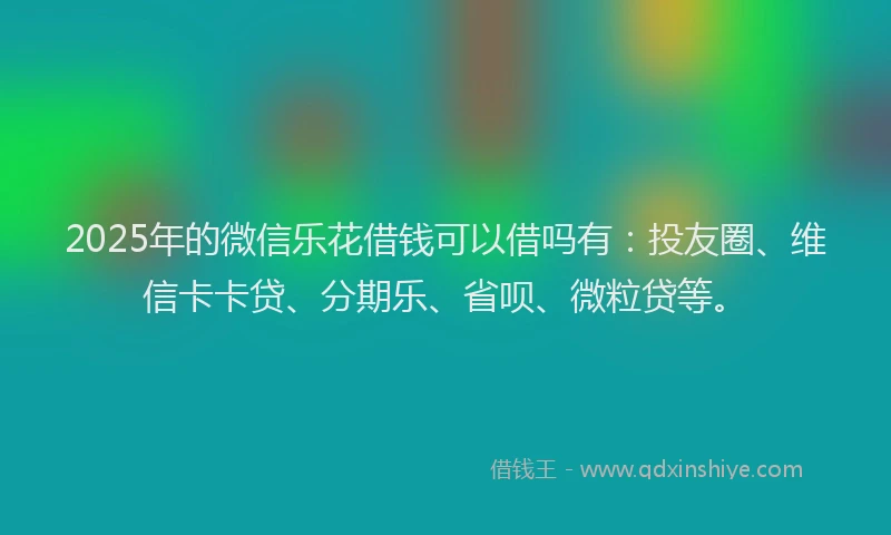 2025年的微信乐花借钱可以借吗有：投友圈、维信卡卡贷、分期乐、省呗、微粒贷等。