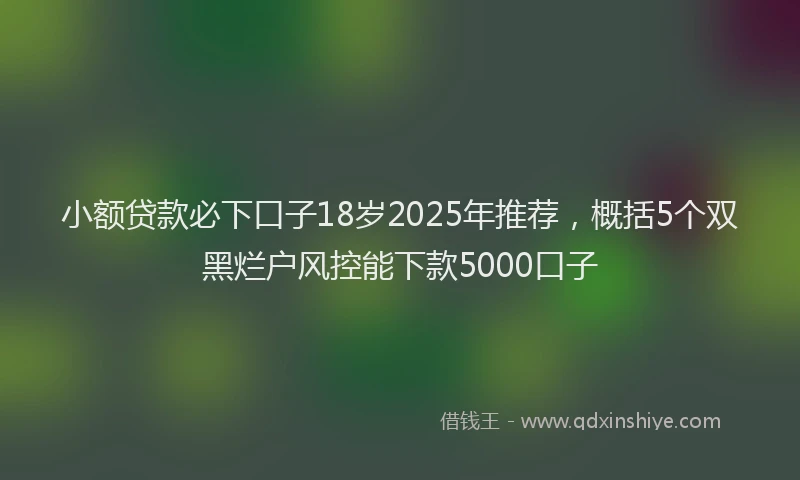 小额贷款必下口子18岁2025年推荐，概括5个双黑烂户风控能下款5000口子