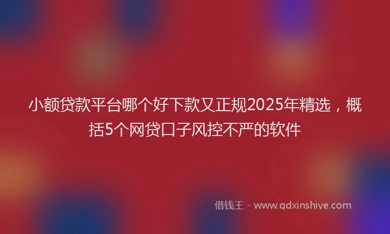 小额贷款平台哪个好下款又正规2025年精选，概括5个网贷口子风控不严的软件