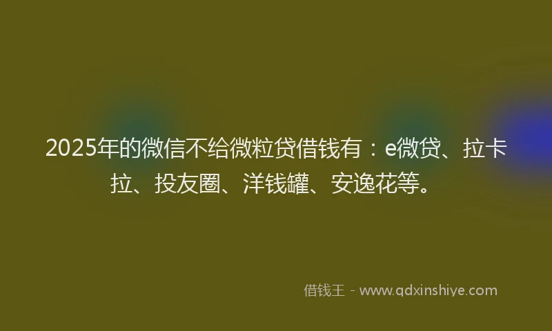 2025年的微信不给微粒贷借钱有：e微贷、拉卡拉、投友圈、洋钱罐、安逸花等。