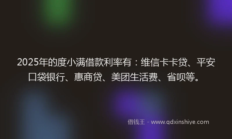 2025年的度小满借款利率有：维信卡卡贷、平安口袋银行、惠商贷、美团生活费、省呗等。