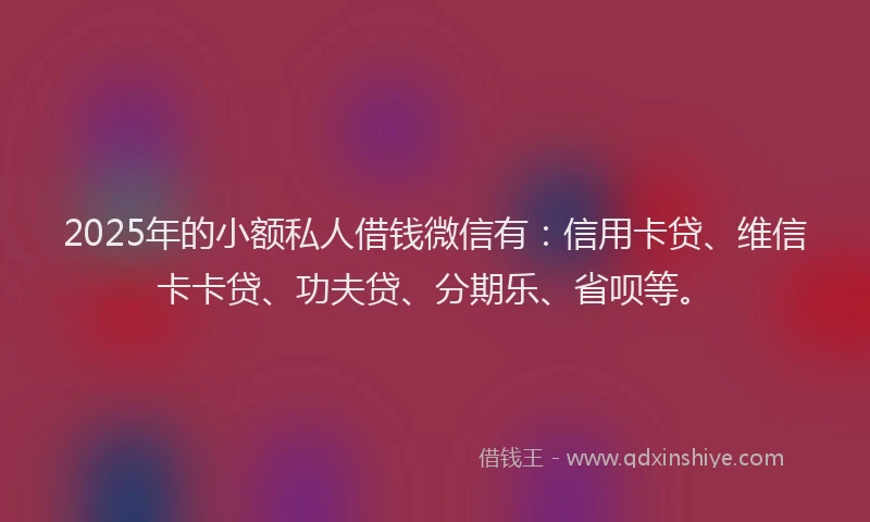 2025年的小额私人借钱微信有：信用卡贷、维信卡卡贷、功夫贷、分期乐、省呗等。
