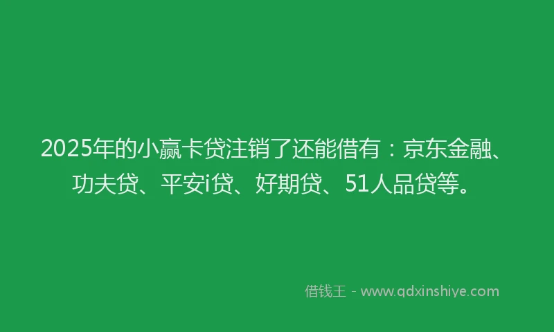 2025年的小赢卡贷注销了还能借有：京东金融、功夫贷、平安i贷、好期贷、51人品贷等。