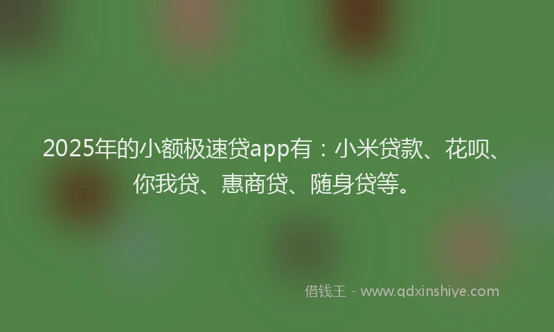 2025年的小额极速贷app有：小米贷款、花呗、你我贷、惠商贷、随身贷等。