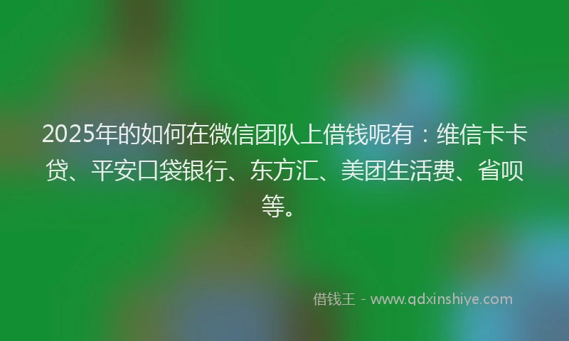 2025年的如何在微信团队上借钱呢有：维信卡卡贷、平安口袋银行、东方汇、美团生活费、省呗等。