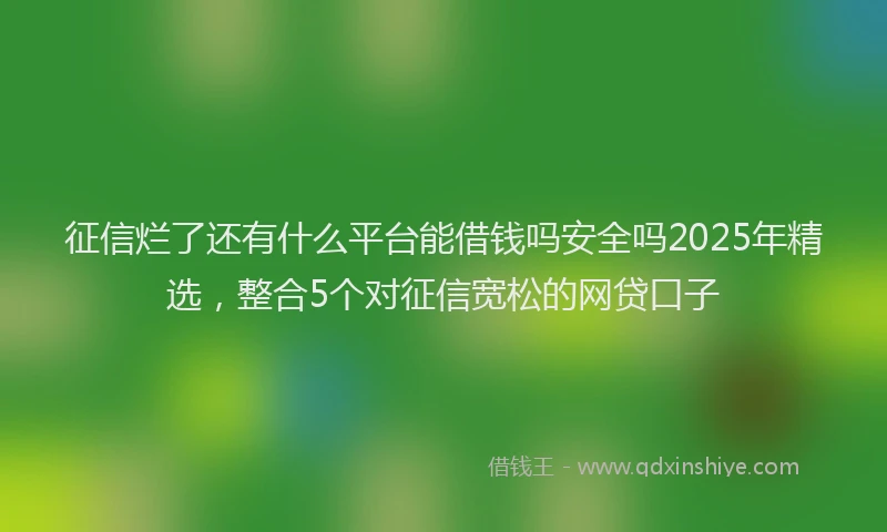 征信烂了还有什么平台能借钱吗安全吗2025年精选，整合5个对征信宽松的网贷口子