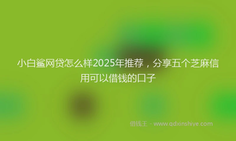 小白鲨网贷怎么样2025年推荐，分享五个芝麻信用可以借钱的口子