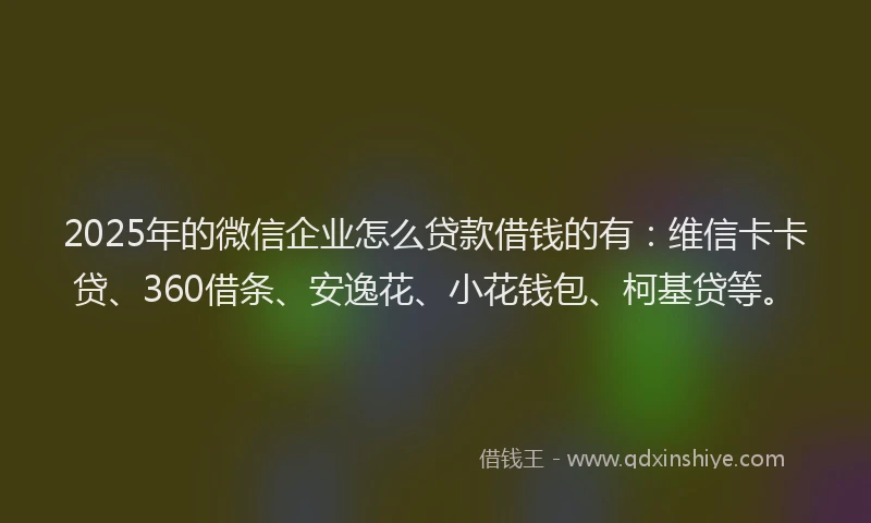 2025年的微信企业怎么贷款借钱的有：维信卡卡贷、360借条、安逸花、小花钱包、柯基贷等。