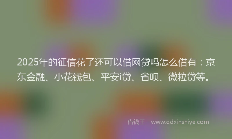 2025年的征信花了还可以借网贷吗怎么借有：京东金融、小花钱包、平安i贷、省呗、微粒贷等。