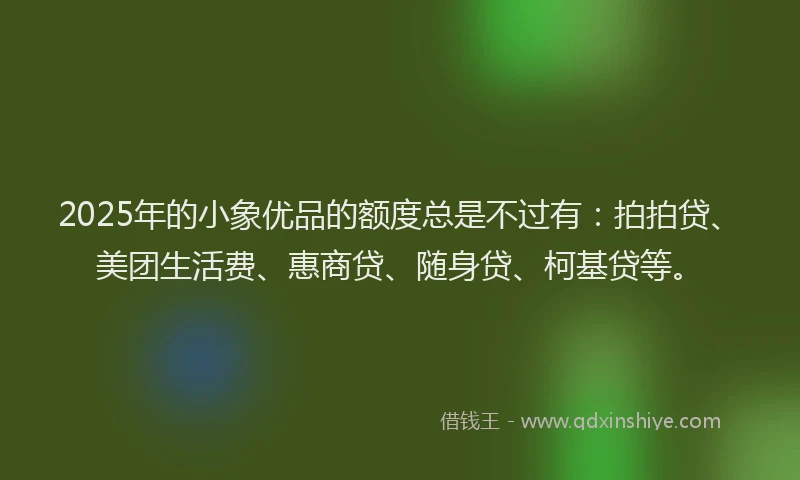 2025年的小象优品的额度总是不过有：拍拍贷、美团生活费、惠商贷、随身贷、柯基贷等。