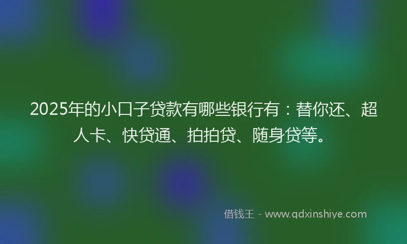 2025年的小口子贷款有哪些银行有：替你还、超人卡、快贷通、拍拍贷、随身贷等。