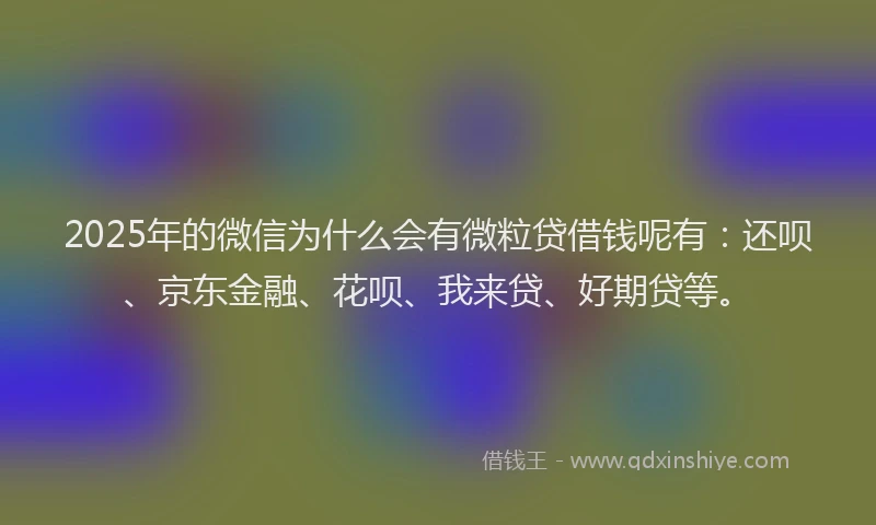 2025年的微信为什么会有微粒贷借钱呢有：还呗、京东金融、花呗、我来贷、好期贷等。