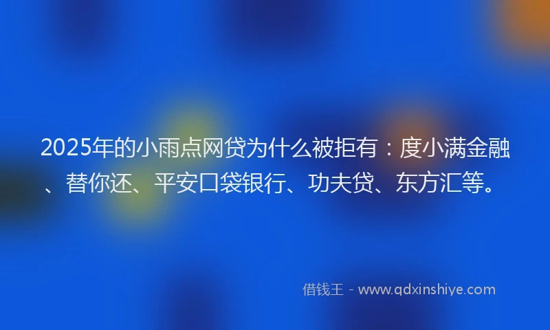 2025年的小雨点网贷为什么被拒有：度小满金融、替你还、平安口袋银行、功夫贷、东方汇等。