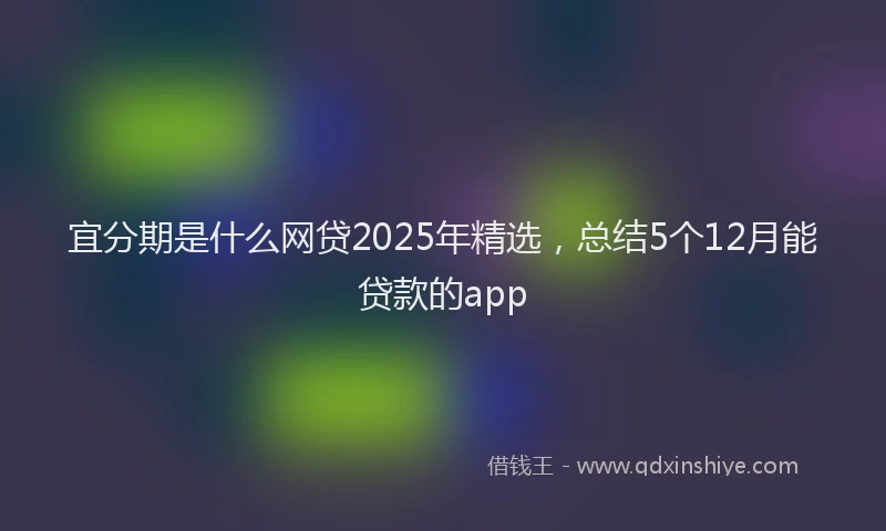 宜分期是什么网贷2025年精选，总结5个12月能贷款的app