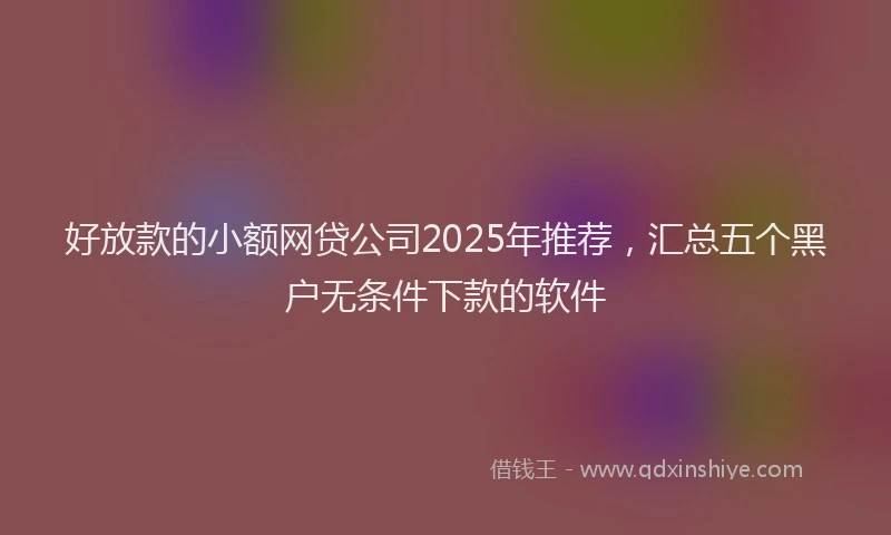 好放款的小额网贷公司2025年推荐，汇总五个黑户无条件下款的软件
