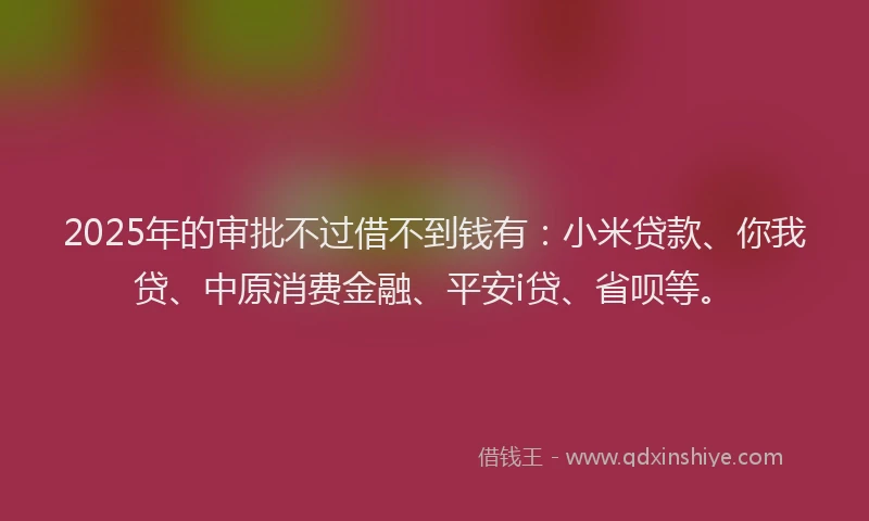 2025年的审批不过借不到钱有：小米贷款、你我贷、中原消费金融、平安i贷、省呗等。