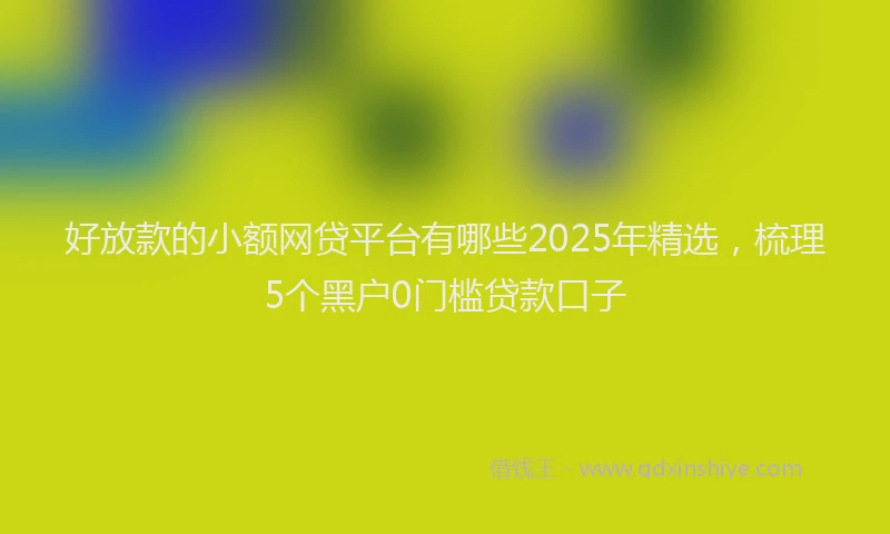 好放款的小额网贷平台有哪些2025年精选，梳理5个黑户0门槛贷款口子