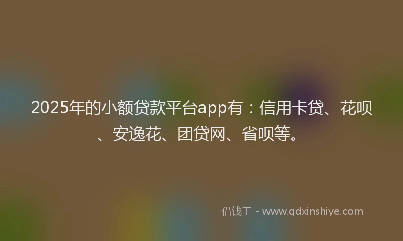2025年的小额贷款平台app有：信用卡贷、花呗、安逸花、团贷网、省呗等。