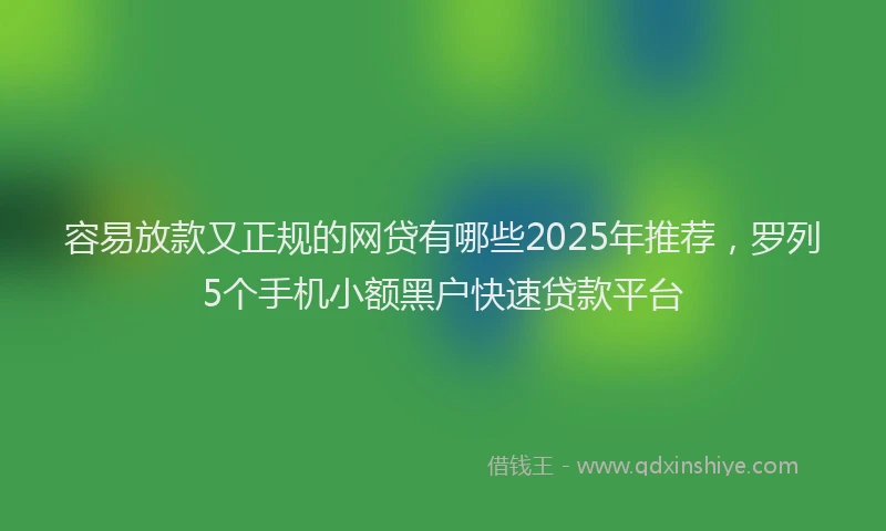 容易放款又正规的网贷有哪些2025年推荐，罗列5个手机小额黑户快速贷款平台