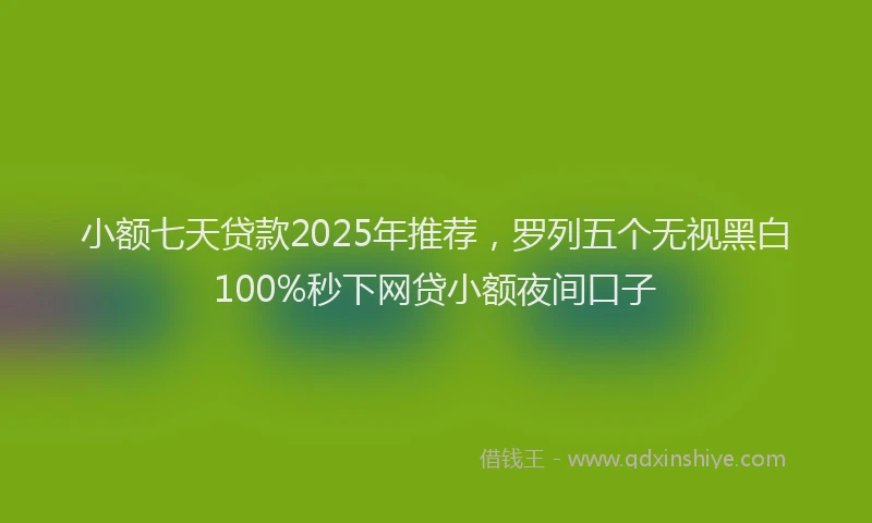 小额七天贷款2025年推荐，罗列五个无视黑白100%秒下网贷小额夜间口子