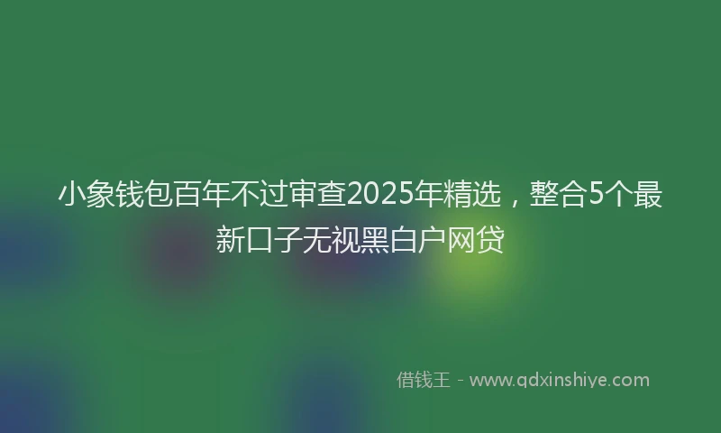 小象钱包百年不过审查2025年精选，整合5个最新口子无视黑白户网贷