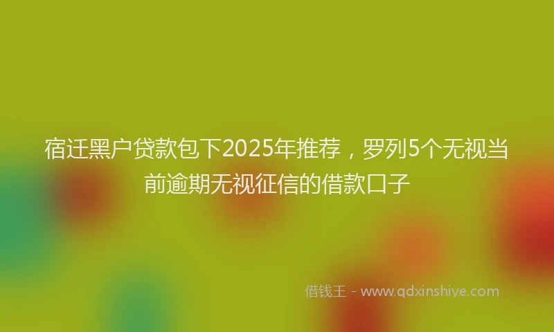 宿迁黑户贷款包下2025年推荐，罗列5个无视当前逾期无视征信的借款口子