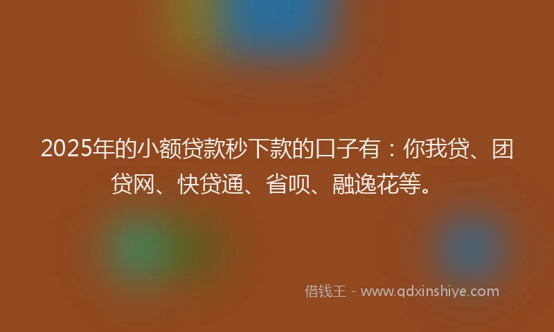 2025年的小额贷款秒下款的口子有：你我贷、团贷网、快贷通、省呗、融逸花等。