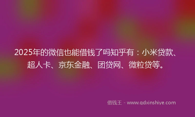 2025年的微信也能借钱了吗知乎有：小米贷款、超人卡、京东金融、团贷网、微粒贷等。