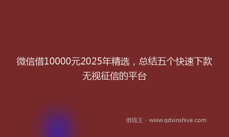 微信借10000元2025年精选，总结五个快速下款无视征信的平台