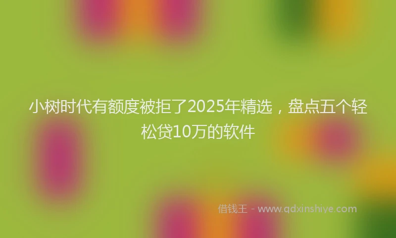 小树时代有额度被拒了2025年精选，盘点五个轻松贷10万的软件