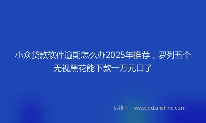 小众贷款软件逾期怎么办2025年推荐，罗列五个无视黑花能下款一万元口子